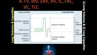 Lung Volumes & Capacities (1 of1)