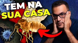 QUEM transmite o OROPOUCHE: saiba quais MOSQUITOS