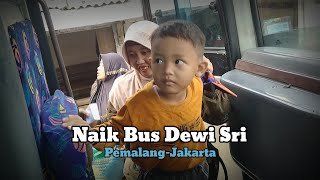 Naik Bus Dewi Sri Ternyata Nyaman Juga#pemalangjawatengah