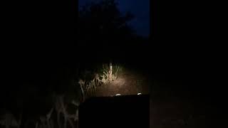 Off road malam menjelang subuh dijalur ternadi kudus