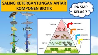 INTERAKSI MAKHLUK HIDUP| RANTAI MAKANAN, JARING-JARING MAKANAN, PIRAMIDA MAKANAN IPA SMP KELAS 7