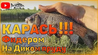 Ловля карася на вечерней зорьке