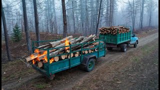 Автопоезд не стоит без дела! Тихая пила режет валежник без шума и дыма!