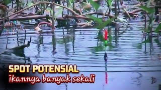 SPOT MASIH SEPI PEMANCING - PESTA STRIKE SENDIRIAN