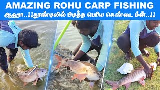 🟢Amazing rohu carp fishing 🔥| Big carp fish hooked | Perfect landing single hook carp fishing 🔥👌🤩