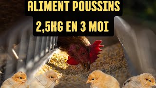 Utilise cette formule pour avoir 2,5kg en 3 mois démarrage des poussins