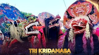 RAMPAK BARONGAN JARANAN TRI KRIDAMASA Live! Pakuan Aji Lampung Timur