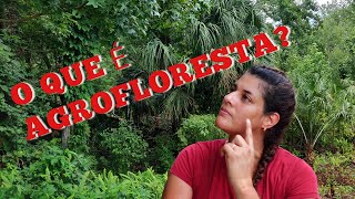 AGROFLORESTA: O QUE É E COMO FUNCIONA.