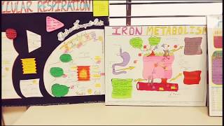 #Biochemistry Project works || MPSGMC || Batch 2019-20