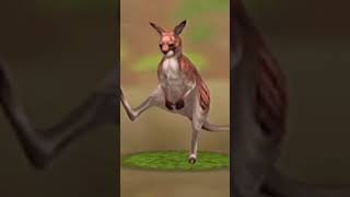 kangaroo edit #Wildcraft #amazing #new