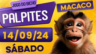 PALPITE DO DIA 14/09/2024 - JOGO DO BICHO 🍀 TODAS AS LOTERIAS 🍀