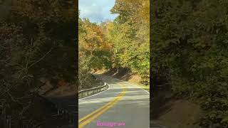 Foliage WV #roadtrip #foliage #autumn #shortvideo