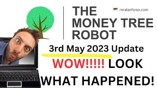 WOW! Look what happened using MoneyTree Trading Robot - Live Trading Account - 3rd May 2023