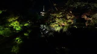 Toji Temple night view