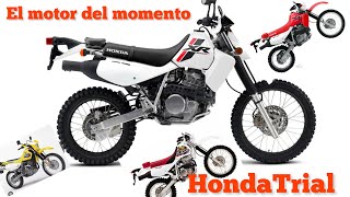 Honda 2023 XR650L EL MEJOR MOTO TRAIL DEL MOMENTO