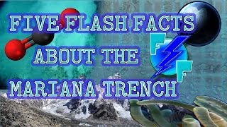 Five Flash Facts About The Mariana Trench