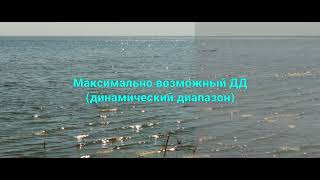 Как получить максимально возможный динамический диапазон (ДД) в приложении mcpro24fps