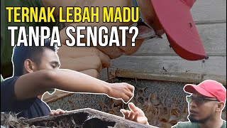 Budidaya Lebah Trigona, Inspirasi Luar Biasa.