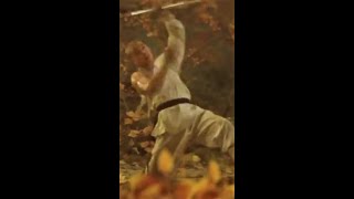 Jet Li Shaolin Unique Three Nunchaku #shorts