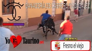 Le Clava el Cuerno en la espalda y le Arrastra varios metros en FRESNO EL VIEJO por Yo Taurino