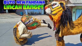 kirap meriah‼️ New PANDAWA live tamanan bonang