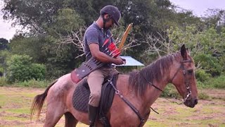 Horseback Archery (Serial Shots) using Right Side Quiver