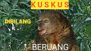 BERUANGNYA INDONESIA