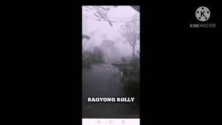 PAnanalasa at hagupit ng #bagyongrolly sa #bicol