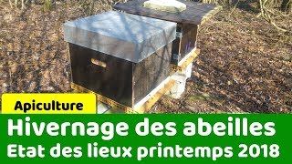 Sortie d'hivernage pour les abeilles