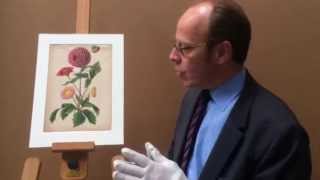 Carl Ulke (1791-1882): Studies of Dahlias