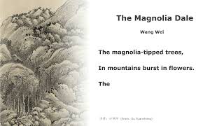 真人 童声朗读 汉英双语 辛夷坞 王维 The Magnolia Dale Wang Wei