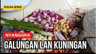 RAHAJENG GALUNGAN LAN KUNINGAN