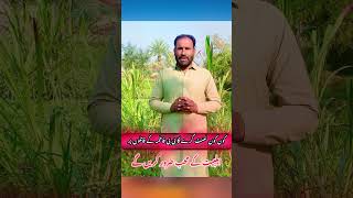 3جمادی الثانی کو کیا ہوا تھا || bibifatima zahra sa || Haq Bool ||Murtaza Ameeni