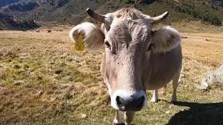 Trekking mágicos - GoPro