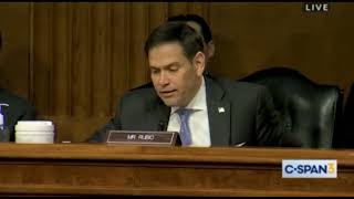 Senator Marco Rubio Questions Undersecretary Of State On Biological Weapons Facilities In Ukraine