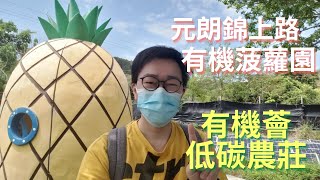 【香港旅遊】親子好去處元朗錦上路有機菠蘿園｜有機薈低碳農莊｜菠蘿園｜農莊｜餵飼山羊｜餵飼羊駝｜太陽能板｜環保｜兒童遊樂設施｜親親大自然｜親子好去處｜香港好去處｜郊遊｜打卡景點｜香港旅行｜開字幕睇呀