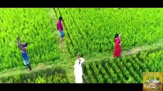 Agriculture status song tamil