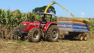 Silagem de milho 2016 - Cotiporã - RS