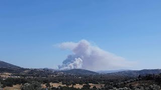 Μεγάλη φωτιά κοντά σε σπίτια στην Εύβοια - Εστάλη μήνυμα 112