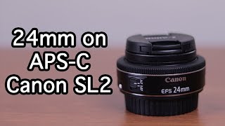 24mm Lens on APS-C Canon SL2 Camera