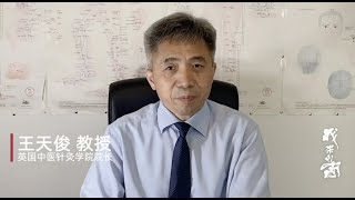 《我来自中国》系列节目：“云”端中医别样红