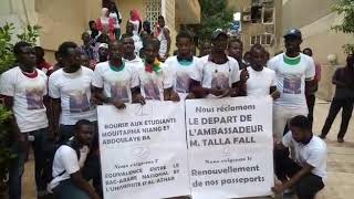 Ambassade du Sénégal en Egypte : Les étudiants bloquent l’accès à l’ambassadeur Talla Fall