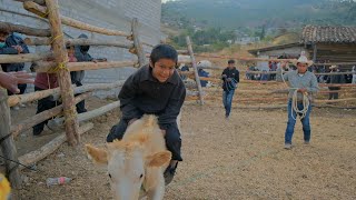 Jaripeo Ranchero| Los Tejocotes 2022