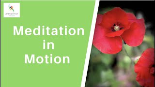 Meditation in Motion