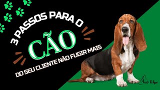 3 passos para o cão do seu cliente não fugir mais