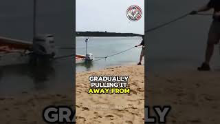 Heartfelt Rescue of a Stranded Injured Shark on the Beach