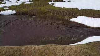 Drainage of hole 15 pond water pt3 - Wanu