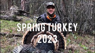 Spring Turkey 2023