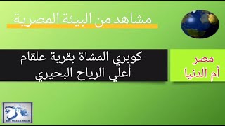 كوبري المشاة بقرية علقام أعلي الرياح البحيري بمحافظة البحيرة