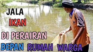 jala ikan di depan rumah warga dapat ikan MUJAHER kecil kecil